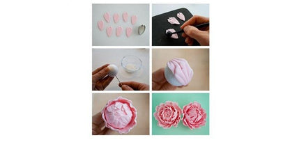 APRICOT 4pcs/set peony flower  Cookie Cutter 3D Sugarcraft Fondant Cake Pastry Biscuit Baking Mold - BAKEWARE : NEW ZEALAND